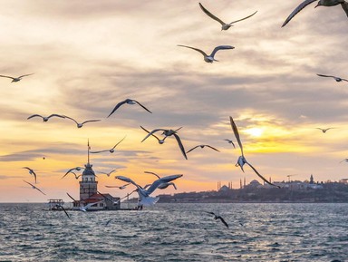 Душевная прогулка по Стамбулу: от мечетей до хипстеров – индивидуальная экскурсия