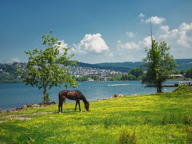 Из Стамбула — на озеро Сапанджа! – индивидуальная экскурсия