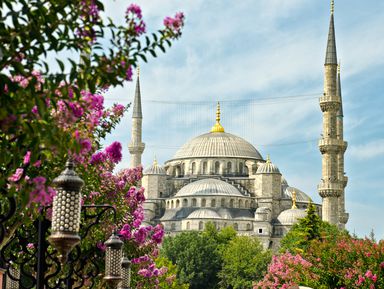 В сердце Стамбула с профессиональным гидом – индивидуальная экскурсия