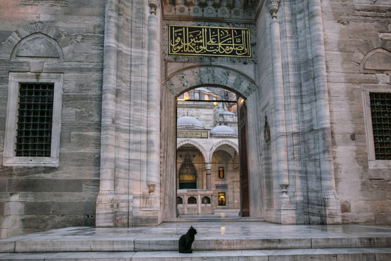 От Константинополя до Стамбула: прогулка-знакомство с городом – индивидуальная экскурсия