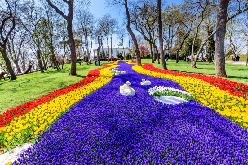 Фестиваль тюльпанов в Стамбуле — в парк Эмирган вместе с гидом – индивидуальная экскурсия