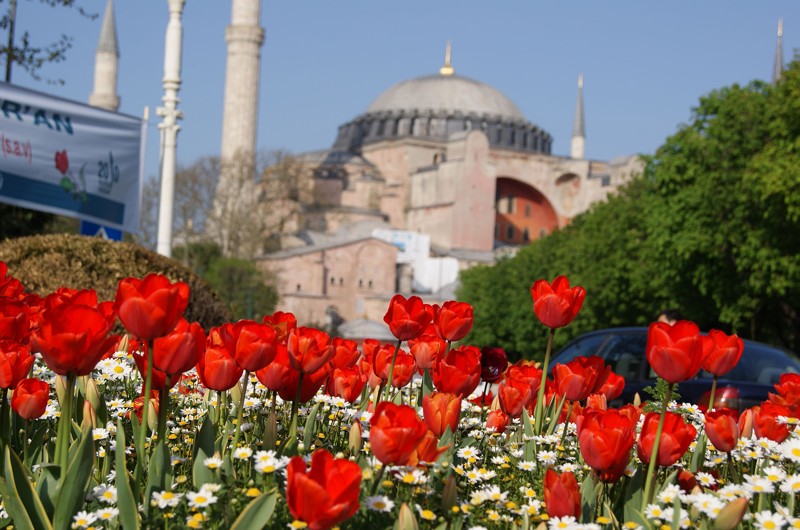Стамбул во время цветения тюльпанов – авторский тур